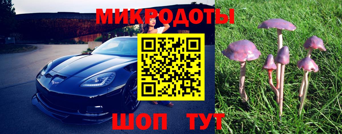 Псилоцибиновые грибы прущие грибы  Вход с VPN  Десногорск 